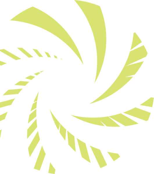 Setting the Standard in Aviation Safety and Quality